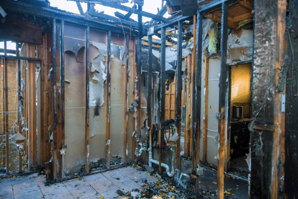 Professional Fire Damage Removal technician working in Friendship Heights Village, MD